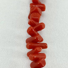 Charger l'image dans la galerie, Gourmette Kabyle en Argent - 9003 - Bijoux Kabyles